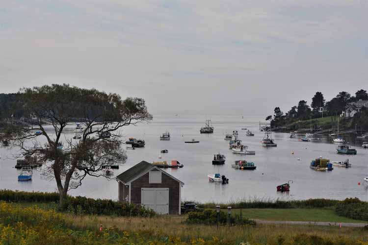 cove and picnic area